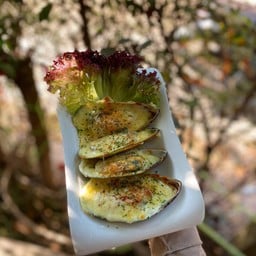 หอยนิวซีแลนด์อบชีส