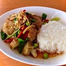 ผัดฉ่าปลากระพงราดข้าว