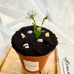 ไอศรีมกระถาง