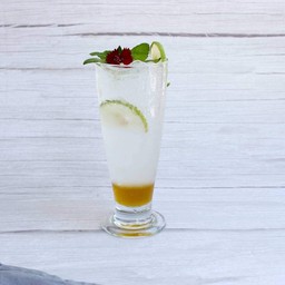 Iced Honey & Lemon