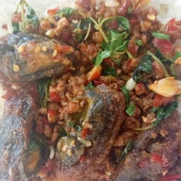 กะเพราไข่เยี่ยวม้า