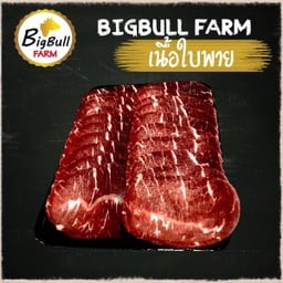 ใบพาย สไลด์ 0.5 kg.