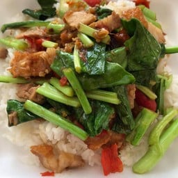 ข้าวคะน้าหมูกรอบ