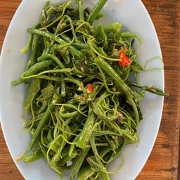 ผัดยอดฟักแม้ว