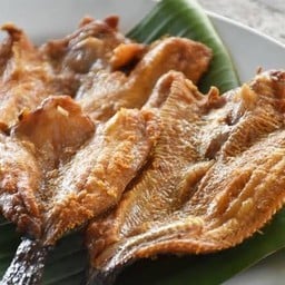 ปลาดุกแดดเดียว