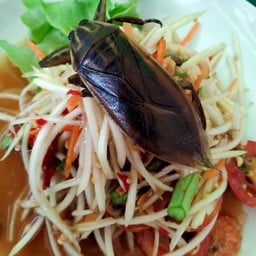 ส้มตำแมงดา