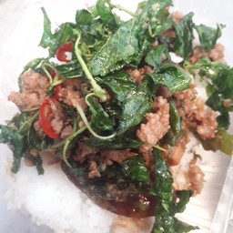 ข้าวราดกระเพราไข่เยี่ยวม้า