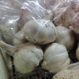 ร้านหมูสดเคหะ สป.