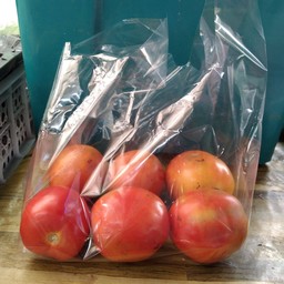 มะเขือเทศ