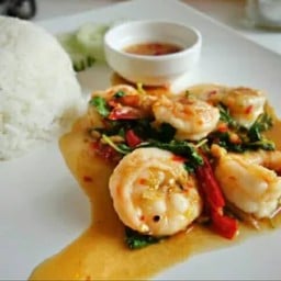 ข้าวราดกระเพรากุ้ง
