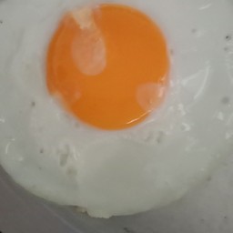 ไขดาว1 ฟอง