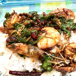 กระเพรากุ้งราดข้าว