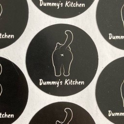 Dummy’s Kitchen