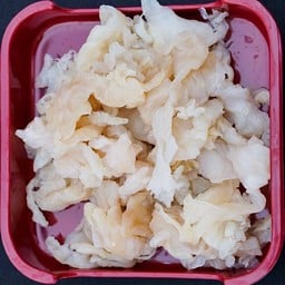 แมงกะพรุน