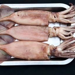 ปลาหมึก