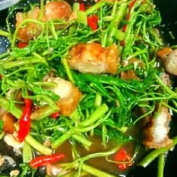 ข้าวกะเฉดหมูกรอบ