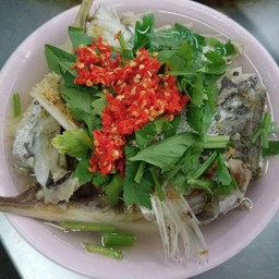 ดาว ข้าวต้มปลา