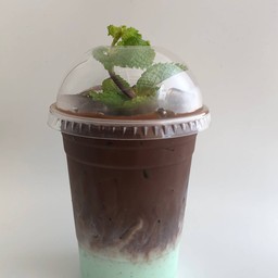Cocoa mint