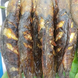 ปลาดุกย่าง