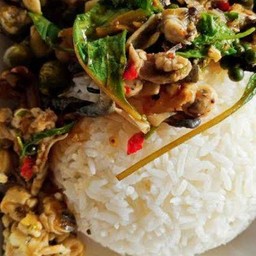 น้องใหม่อาหารป่า