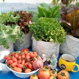 Sweet Gardenอาหารฮาลาล พระราม5