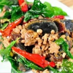 ข้าวราดผัดกระเพราไข่เยี่ยวม้า