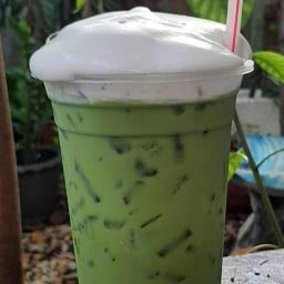 ต้นนุ่น