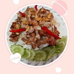 กระเพราหน้าแน่น ครัวคุณต้อย อร่อยบอกต่อ