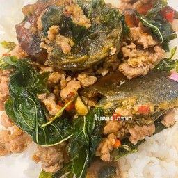 กะเพราไข่เยี่ยวม้าหมูสับราดข้าว