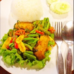 พริกแกงปลากะพง ราดข้าว