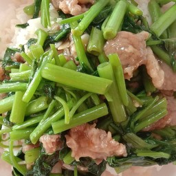 ข้าวราดผัดผักบุ้งน้ำมันหอย
