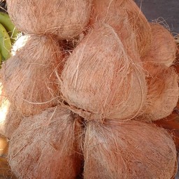 มะพร้าว...ทึนทึก