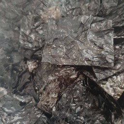 สาหร่าย