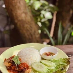 ข้าวหน้าปลากระพงสามรส