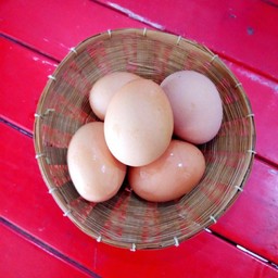 ไข่ต้ม