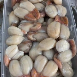 ไข่หมึกกระดอง by.นุดา