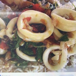 ข้าวกระเพราปลาหมึก