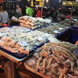 Bird  ของทะเล
