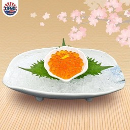 IKURA SASHIMI