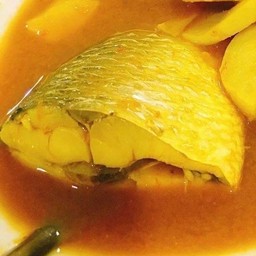 แกงเหลืองปลากระบอก