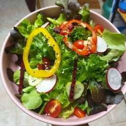 สลัดผัก