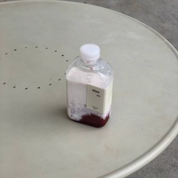 นมสดซอสสตอเบอร์รี่ (สูตรพิเศษของทางร้าน)