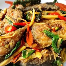 ผัดฉ่าปลาดุกทอด กับข้าว