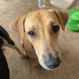 ให้ทิปน้องนางงาม