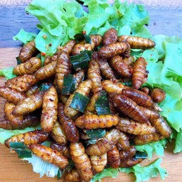 ดักแด้แก้เมา