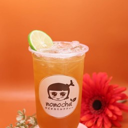 ชาเขียวน้ำผึ้งมะนาว HONEY LEMON GREEN TEA