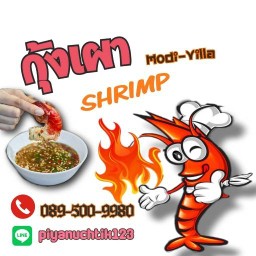 กุ้งเผา Modi-Villa วงแหวน-ปิ่นเกล้า