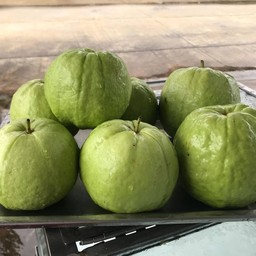 ฝรั่งสดใหญ่
