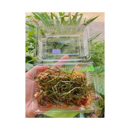 ทาโก้ะยากิ  น้องแฮม