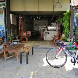 กาแฟลูกช้างขึ้นดอย มุกดาหาร